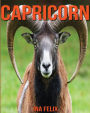 Capricorn: Children Book of Fun Facts & Amazing Photos on Animals in Nature - A Wonderful Capricorn Book for Kids aged 3-7