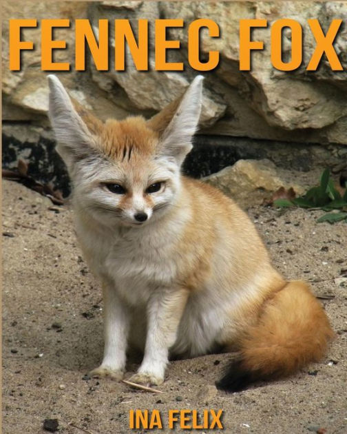 Fennec fox Children Book of Fun Facts & Amazing Photos on Animals in