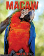 Macaw: Children Book of Fun Facts & Amazing Photos on Animals in Nature - A Wonderful Macaw Book for Kids aged 3-7
