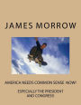 america needs common sense now: especially the president and congress