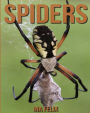 Spiders: Children Book of Fun Facts & Amazing Photos on Animals in Nature - A Wonderful Spiders Book for Kids aged 3-7