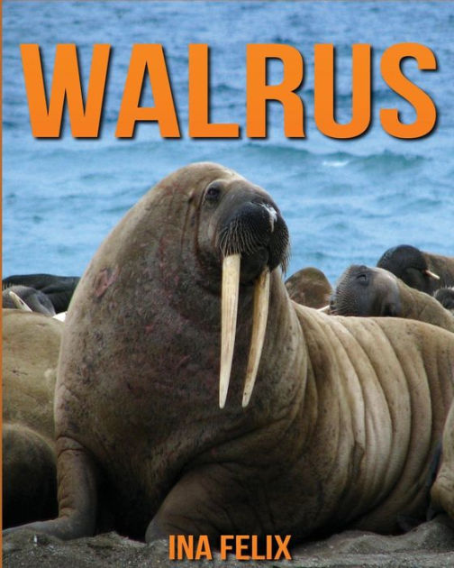 Walrus: Children Book of Fun Facts & Amazing Photos on Animals in