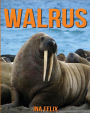 Walrus: Children Book of Fun Facts & Amazing Photos on Animals in Nature - A Wonderful Walrus Book for Kids aged 3-7