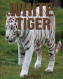White Tiger: Children Book of Fun Facts & Amazing Photos on Animals in Nature - A Wonderful White Tiger Book for Kids aged 3-7