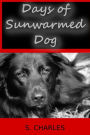 Days of Sunwarmed Dog: Poems about Jack