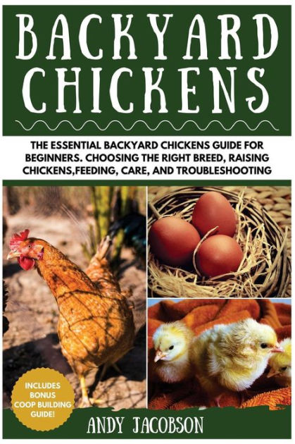 Backyard Chickens The Essential Backyard Chickens Guide For Beginners Choosing The Right Breed 