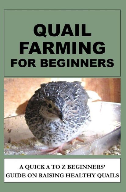 Quail Farming For Beginners: A Quick A To Z Beginners' Guide On Raising