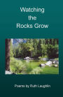 Watching the Rocks Grow
