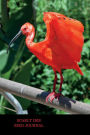 Scarlet Ibis Bird Journal: 150 page lined notebook/diary