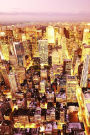 Beautiful Birds Eye City Scenery 150 Page Lined Journal: 150 page lined journal
