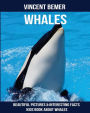 Whales: Beautiful Pictures & Interesting Facts Kids Book About Whales