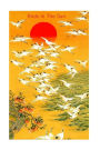 Birds In The Sun