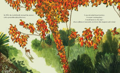 Alternative view 4 of Winged Wonders: Solving the Monarch Migration Mystery