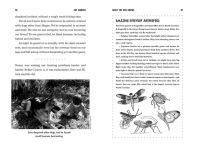 Alternative view 13 of What the Dog Knows Young Readers Edition: Scent, Science, and the Amazing Ways Dogs Perceive the World