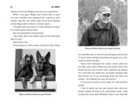 Alternative view 7 of What the Dog Knows Young Readers Edition: Scent, Science, and the Amazing Ways Dogs Perceive the World