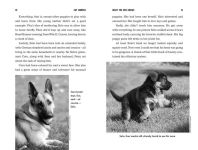 Alternative view 8 of What the Dog Knows Young Readers Edition: Scent, Science, and the Amazing Ways Dogs Perceive the World
