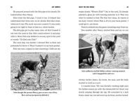 Alternative view 9 of What the Dog Knows Young Readers Edition: Scent, Science, and the Amazing Ways Dogs Perceive the World