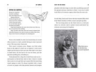 Alternative view 10 of What the Dog Knows Young Readers Edition: Scent, Science, and the Amazing Ways Dogs Perceive the World
