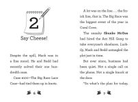 Alternative view 5 of The Candy Caper Case: A QUIX Book