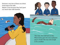 Alternative view 6 of A Sea Otter to the Rescue: Ready-to-Read Level 2