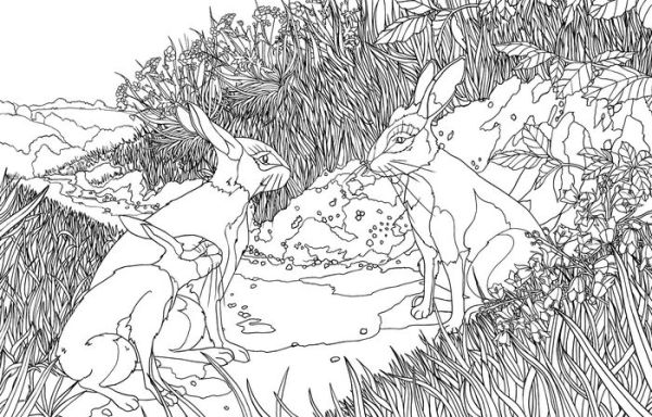 Watership Down The Coloring Book