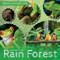 Title: Animals in the Rain Forest, Author: John Wood