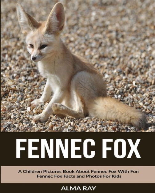 Fennec Fox A Children Pictures Book About Fennec Fox With Fun Fennec