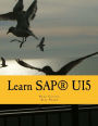 Learn SAPUI5: The new enterprise Javascript framework with examples