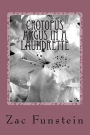 Crotopus Argus in a Laundrette