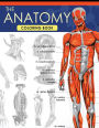 The Anatomy Coloring Book: A Complete Study Guide (9th Edition)