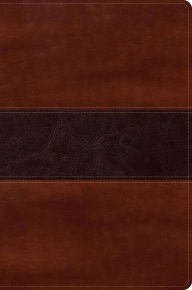Title: RVR 1960 Biblia del Pescador letra grande, caoba símil piel, Author: Luis Ángel Díaz-Pabón
