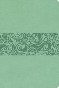 Title: RVR 1960 Biblia para regalos y premios, turquesa símil piel, Author: B&H Español Editorial Staff
