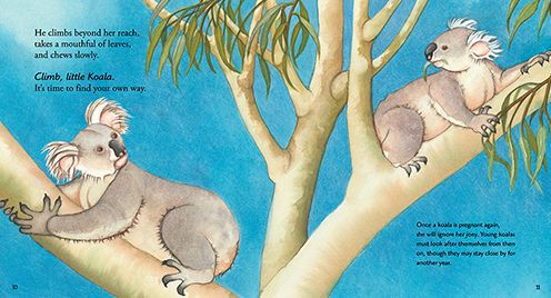 Koala: Read and Wonder