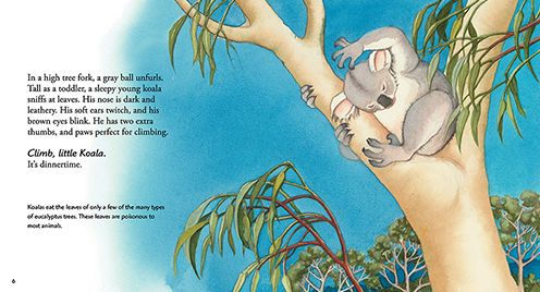 Koala: Read and Wonder