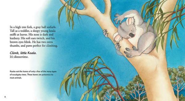 Koala: Read and Wonder