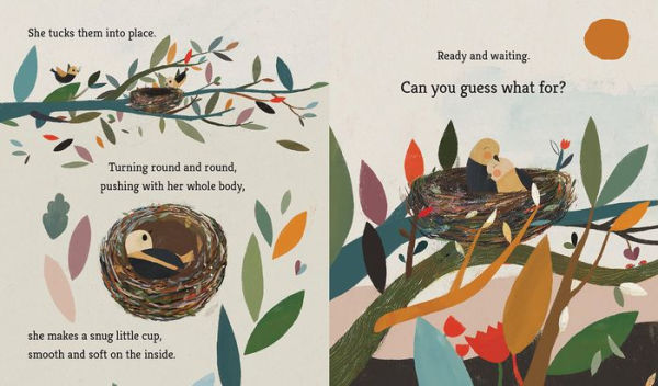 Bird Builds a Nest: A First Science Storybook