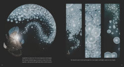 Alternative view 3 of Anglerfish: The Seadevil of the Deep