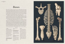 Alternative view 3 of Anatomicum: Welcome to the Museum