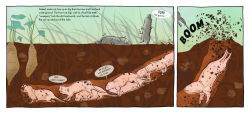 Alternative view 3 of Supersquads!: Animal Heroes