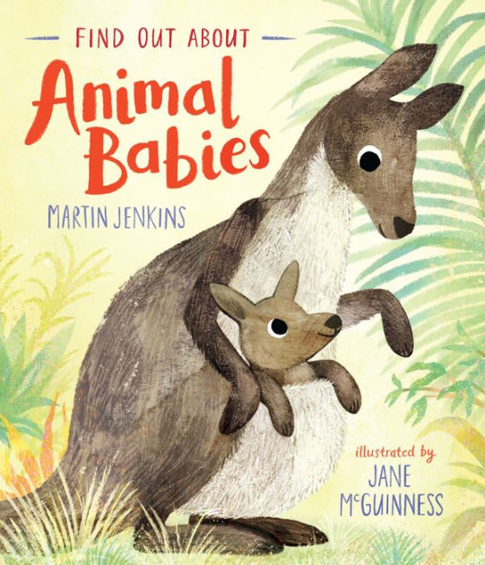 Find Out About Animal Babies by Martin Jenkins, Jane McGuinness