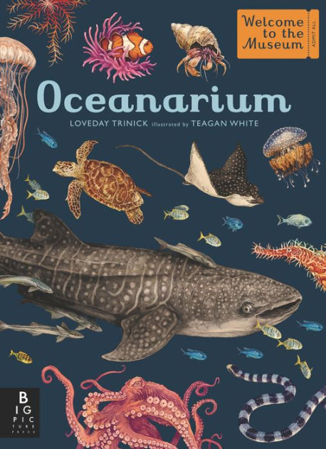 Oceanarium: Welcome to the Museum by Loveday Trinick, Teagan White