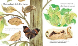 Alternative view 2 of Find Out About Animal Camouflage