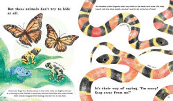 Alternative view 4 of Find Out About Animal Camouflage