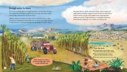 Alternative view 4 of Water: How We Can Protect Our Freshwater