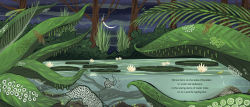 Alternative view 2 of When You See Us: The Mysterious World of Aquatic Insects
