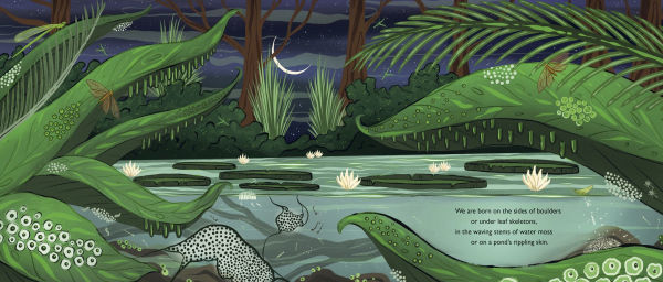 When You See Us: The Mysterious World of Aquatic Insects