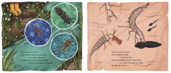 Alternative view 3 of When You See Us: The Mysterious World of Aquatic Insects