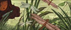 Alternative view 4 of When You See Us: The Mysterious World of Aquatic Insects
