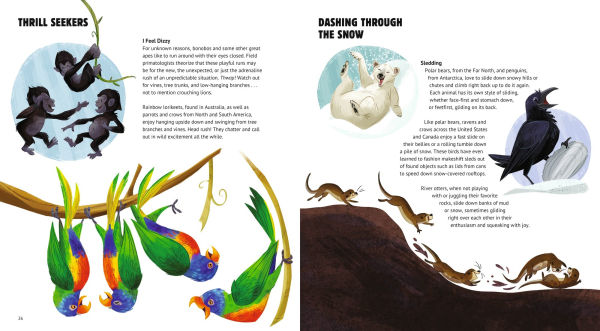 Elephant Bowling and Other Animal Play