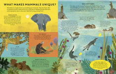 Alternative view 2 of Mammals Everywhere